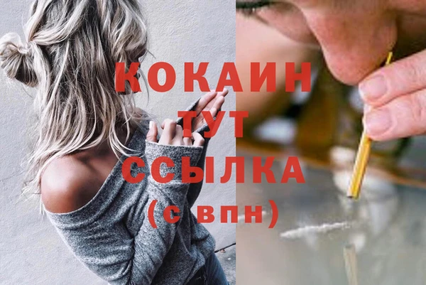 амф Аркадак