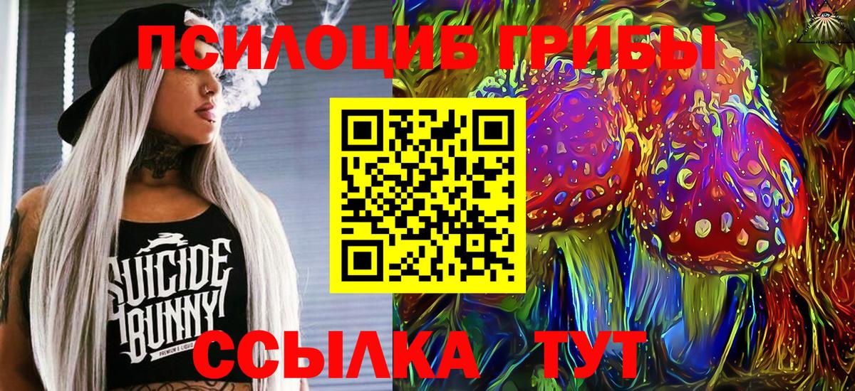 Галлюциногенные грибы MAGIC MUSHROOMS  Вход с VPN  Нововоронеж 